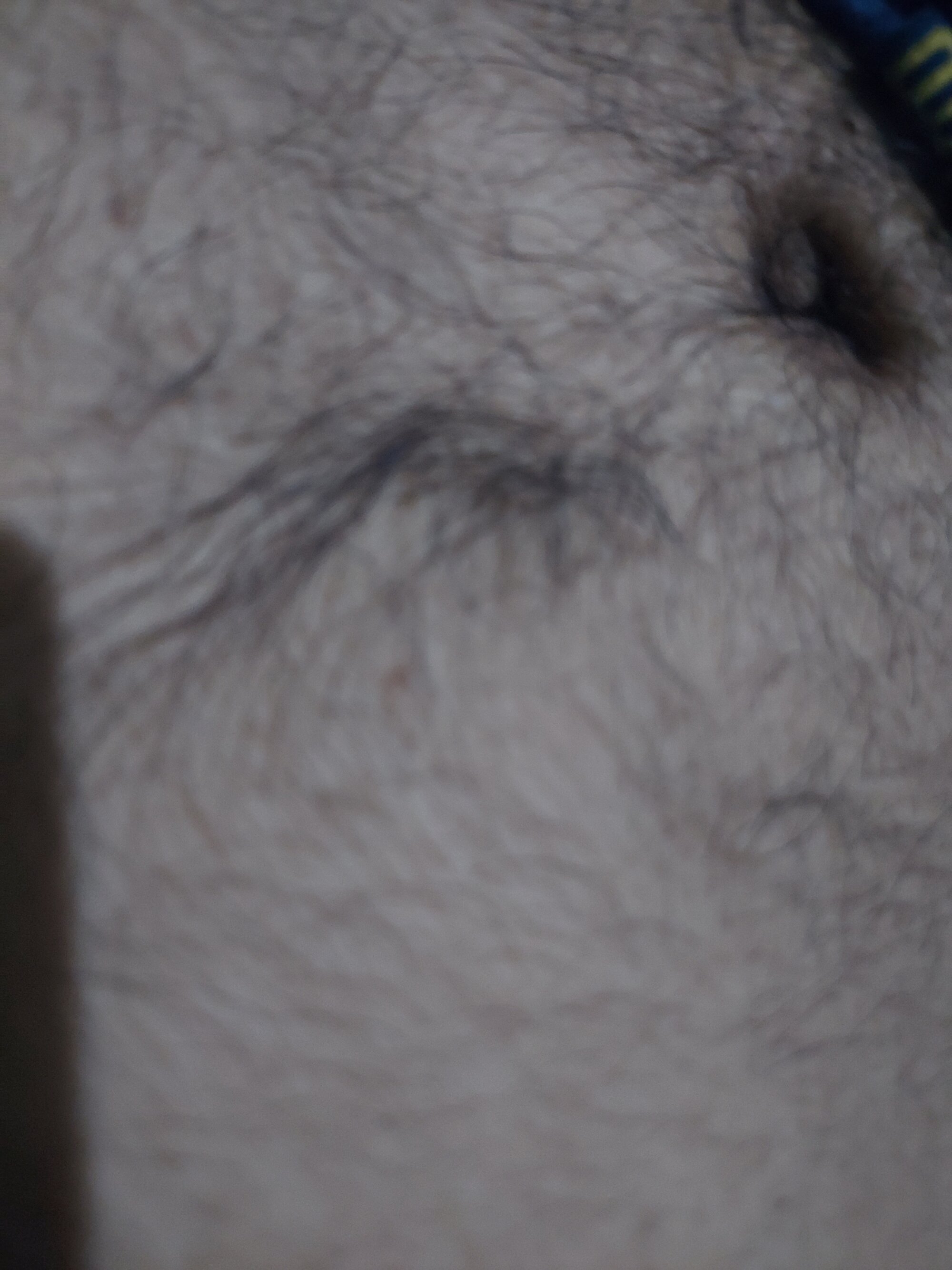 bigdig22cm live webcam