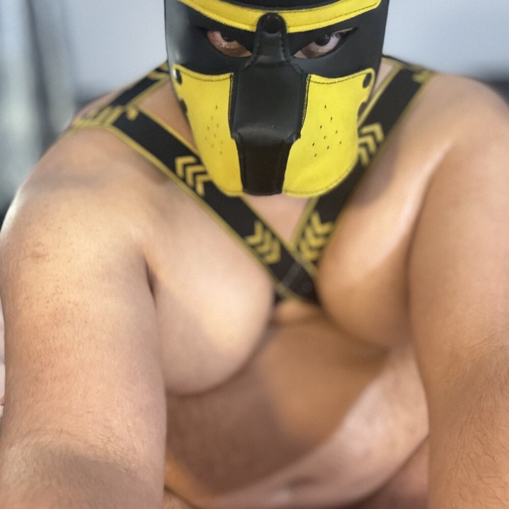 GirthyPup profile