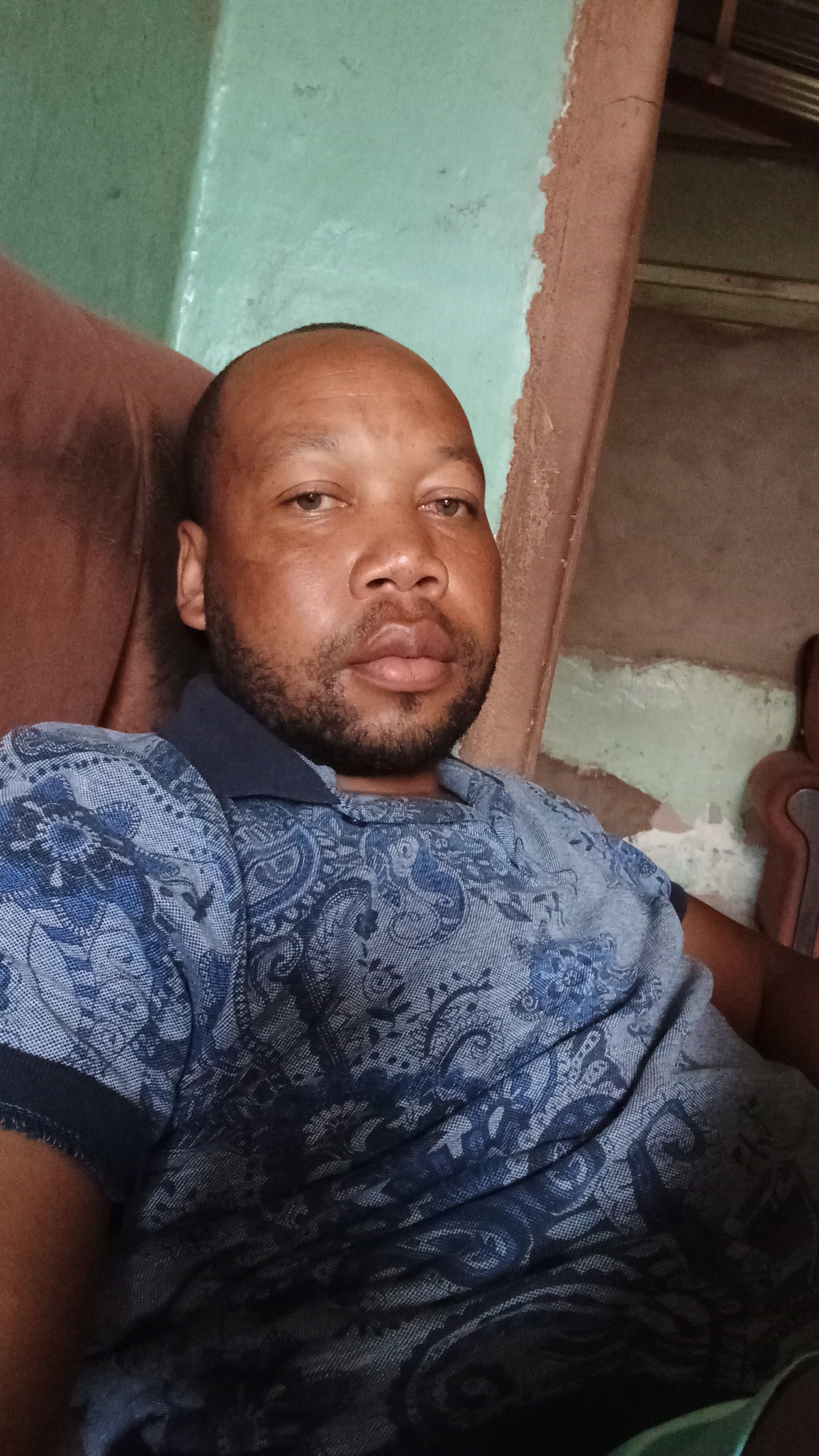 papilo20