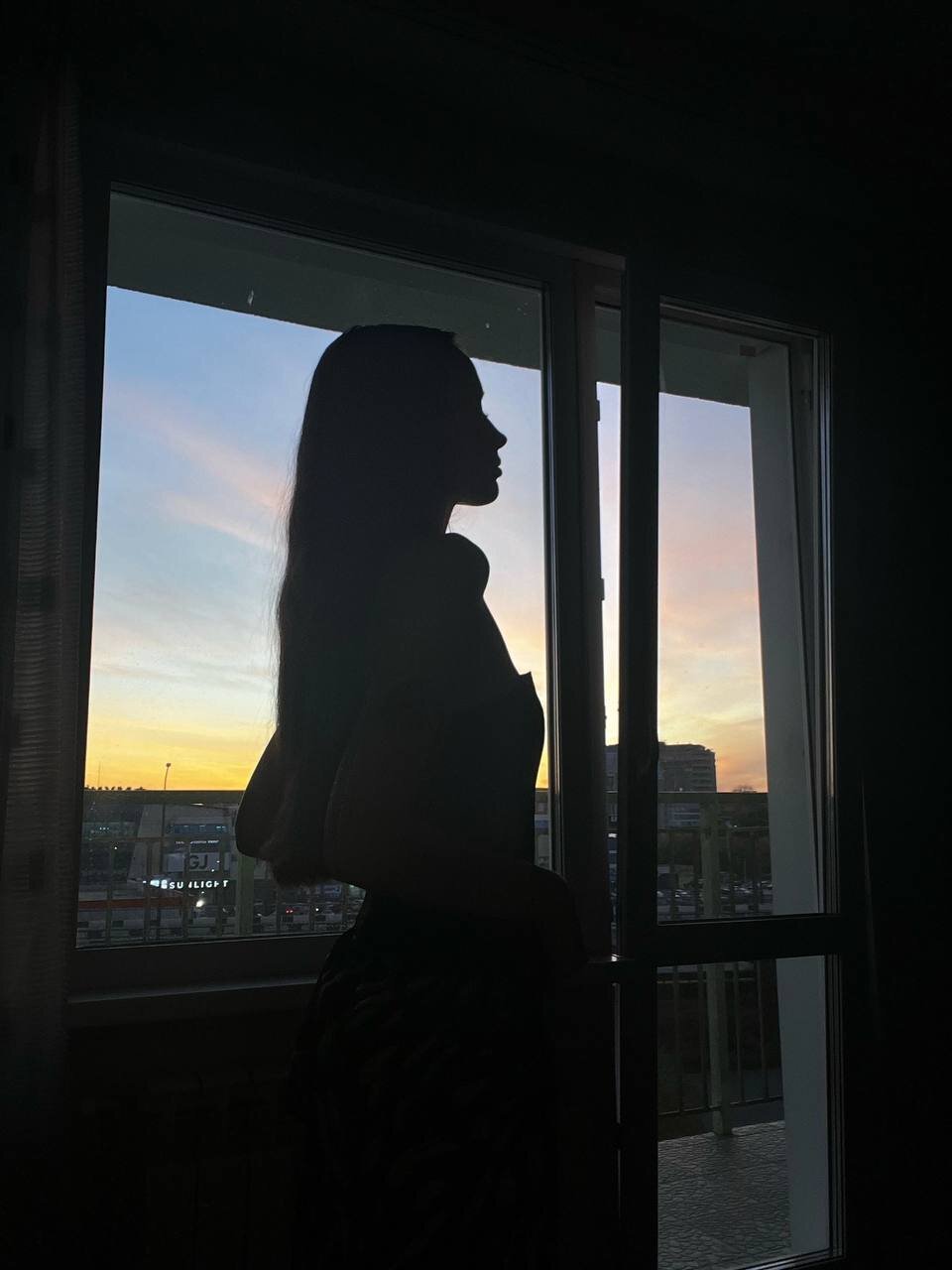 SilviaBeer