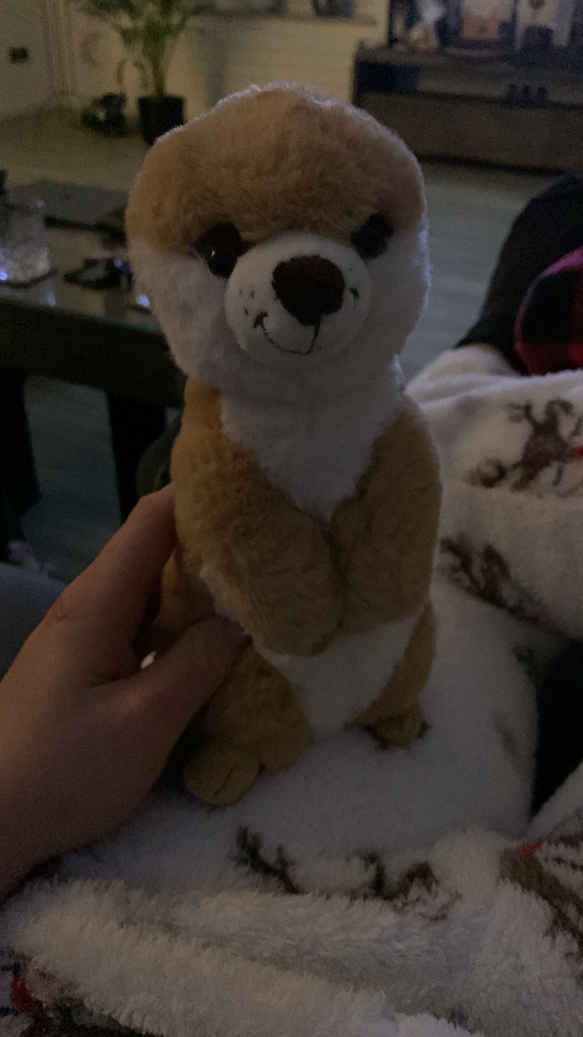 Finni0405