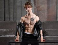 Модель ares_pallini