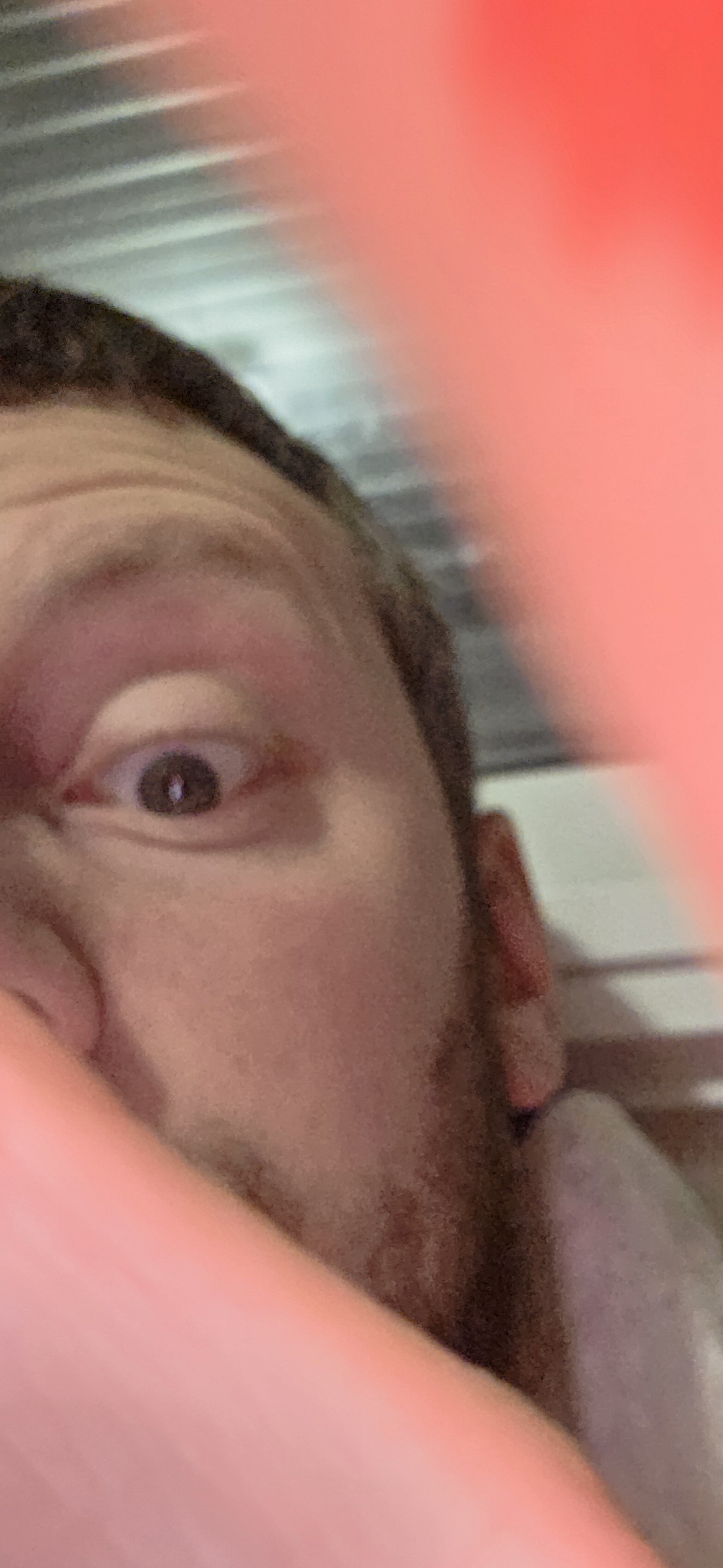 bellebited