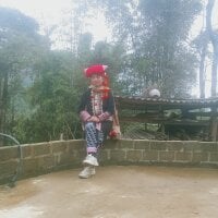 Lvtlh