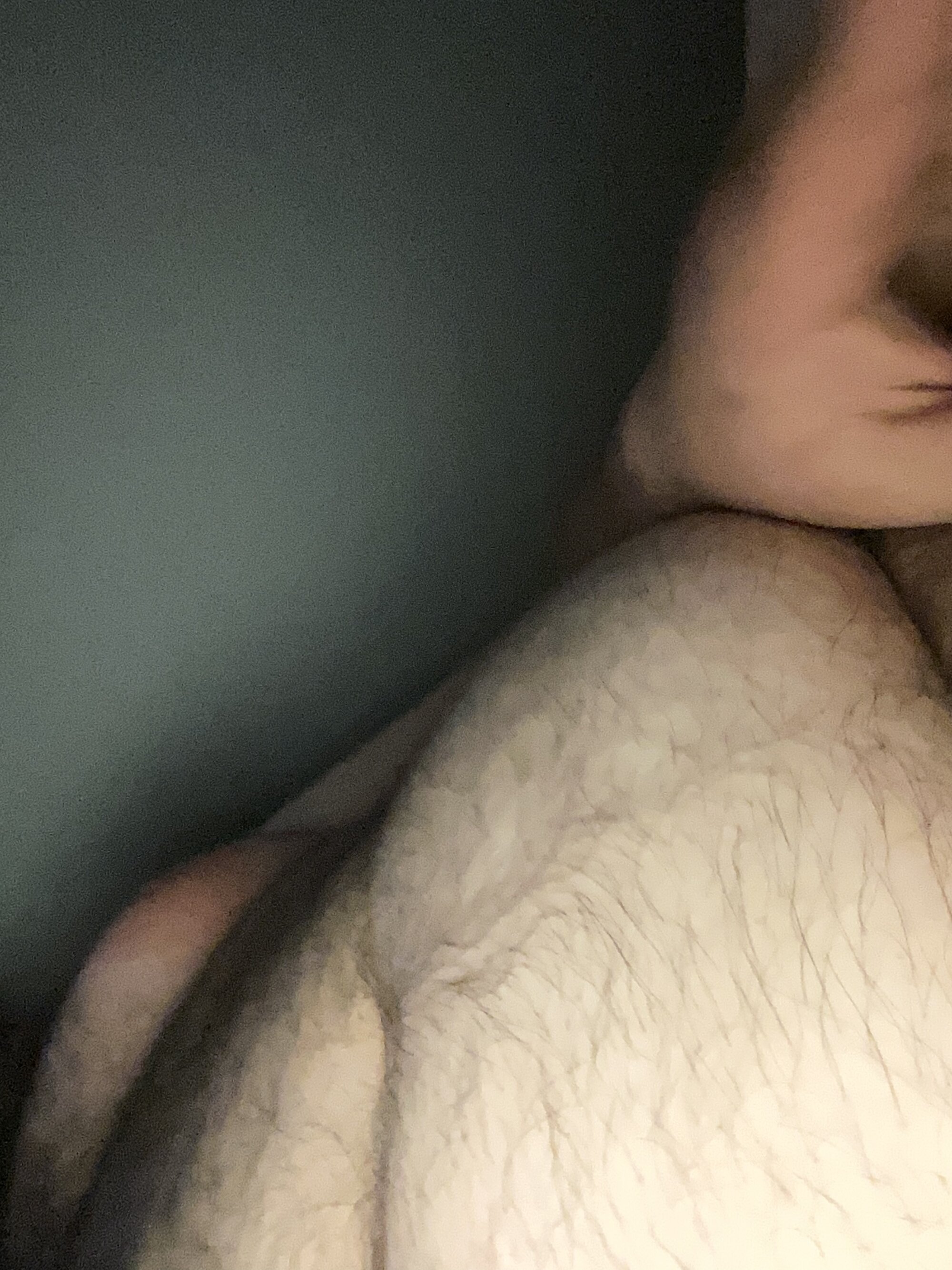 bigmanbulk