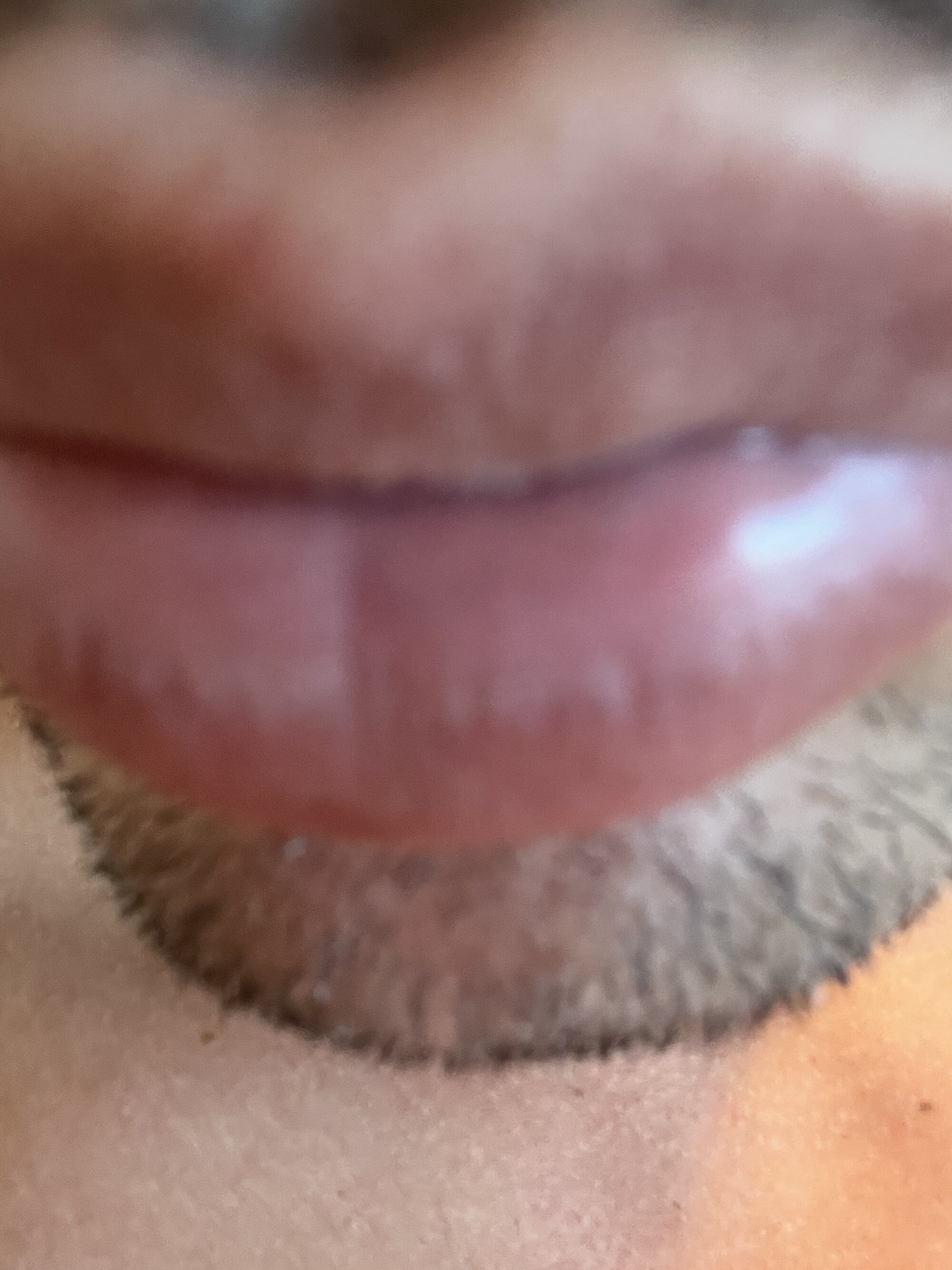 fabiocum