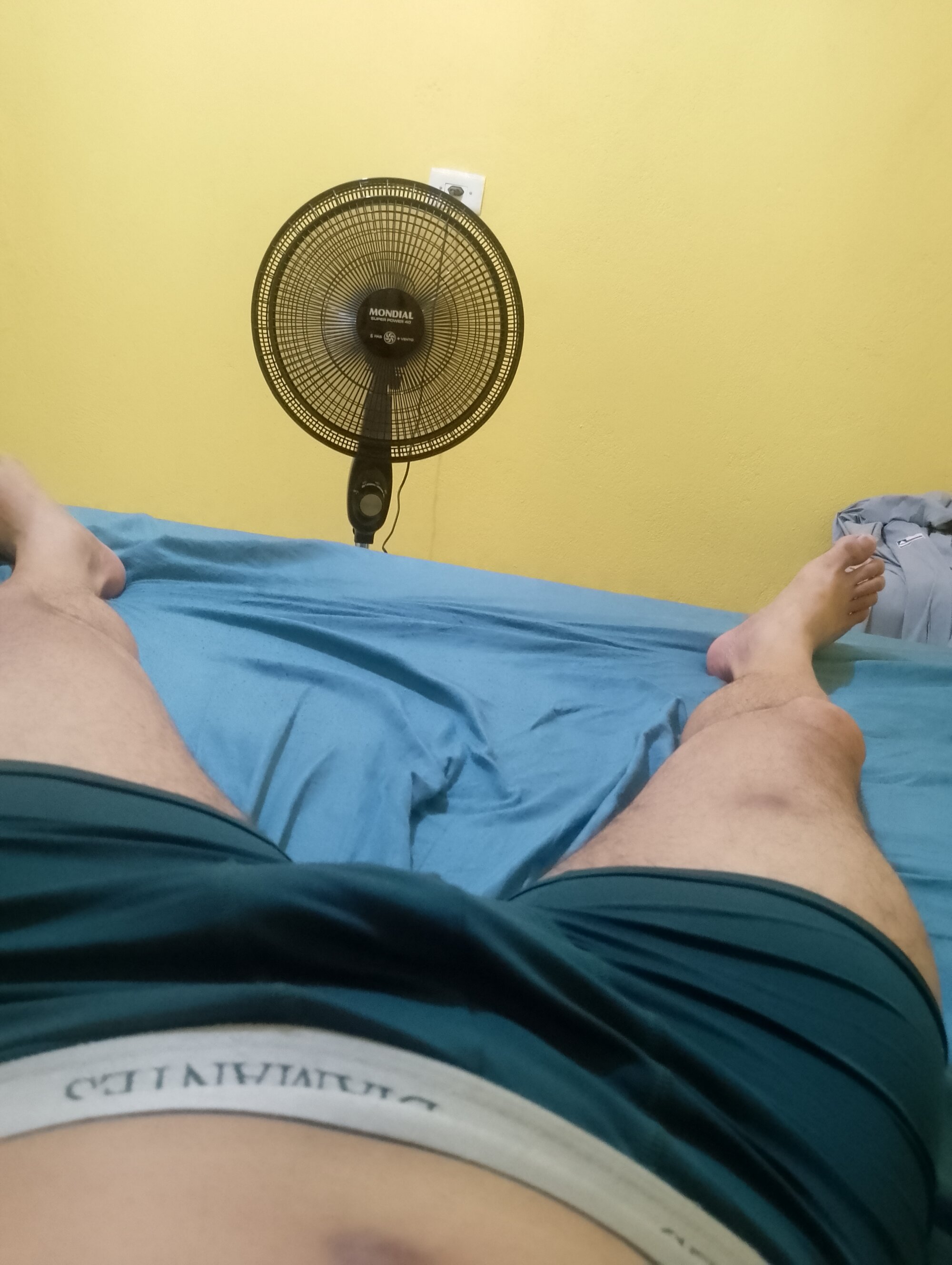 casallmaravilha