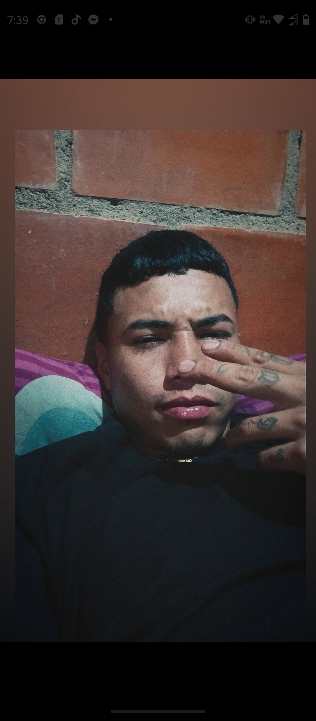 eldelmienbrogrueso