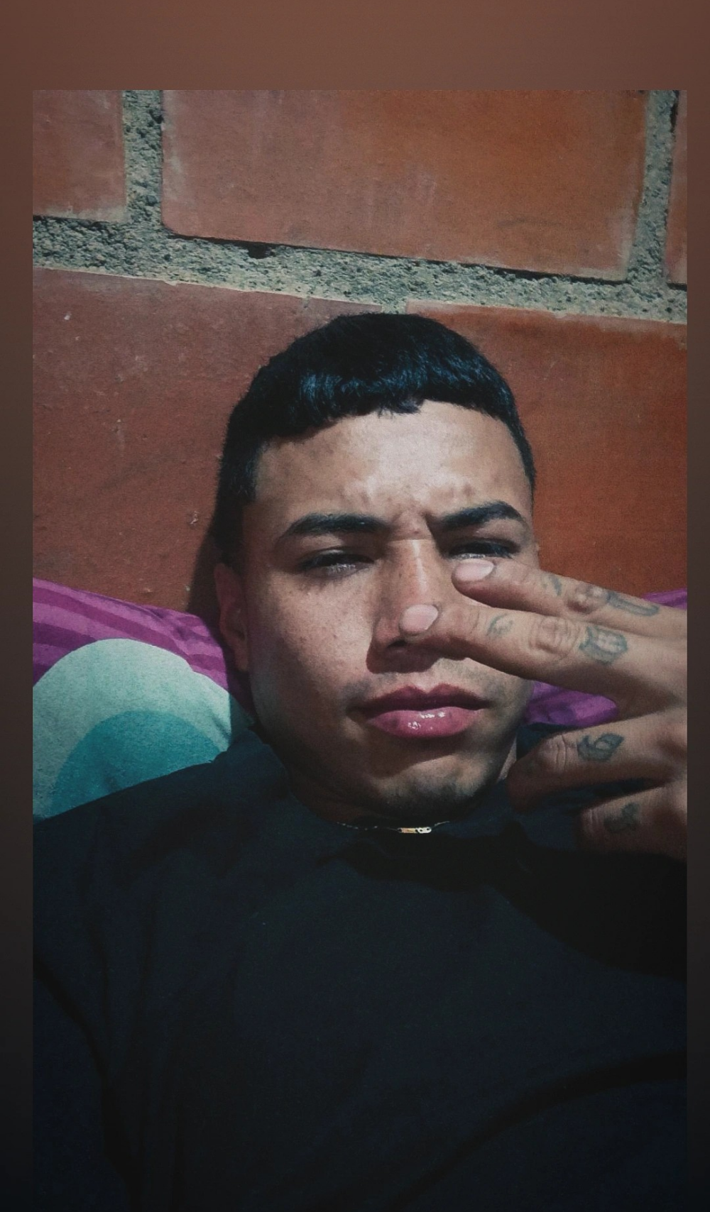 eldelmienbrogrueso profile