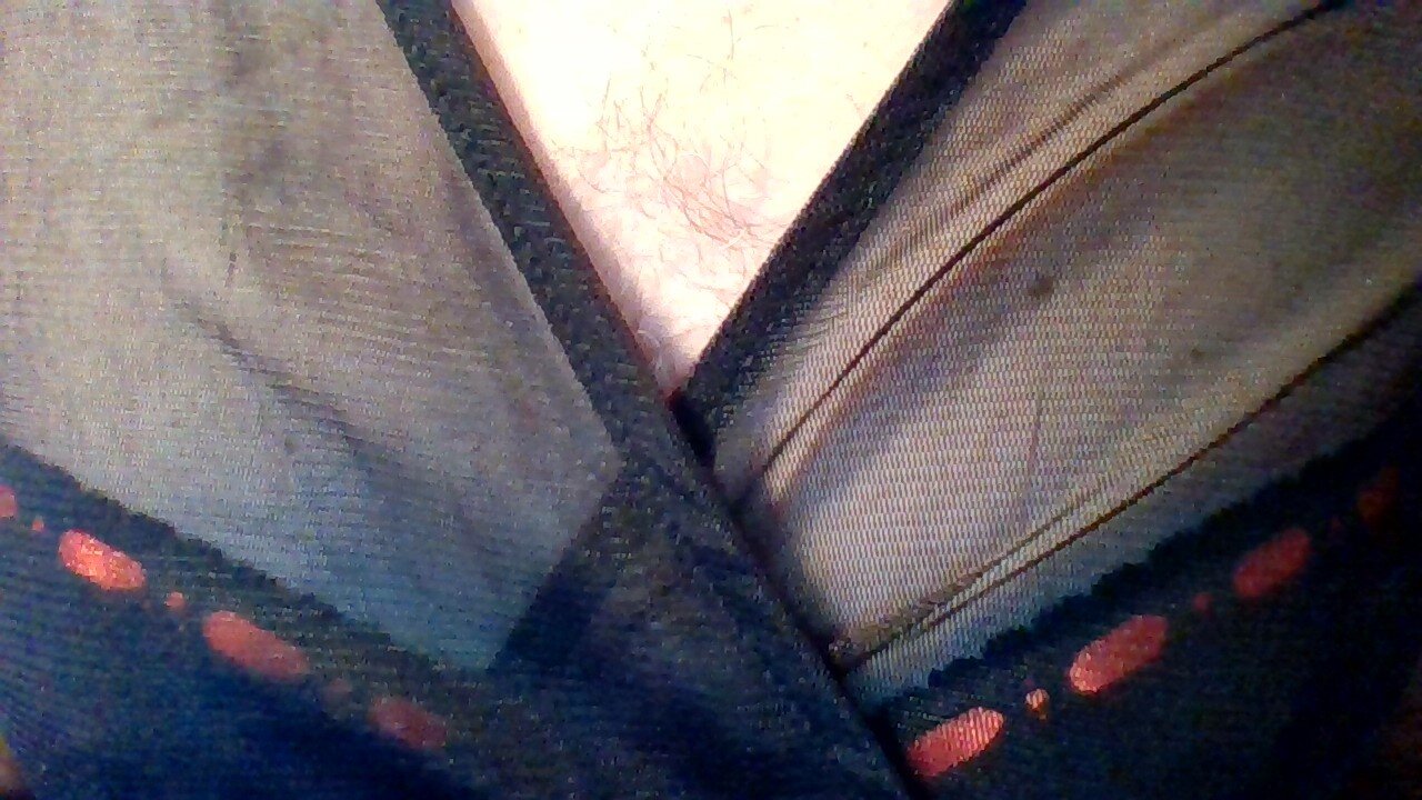 coppiabiscotch