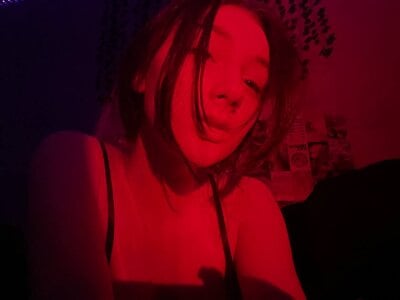 MollysDays
