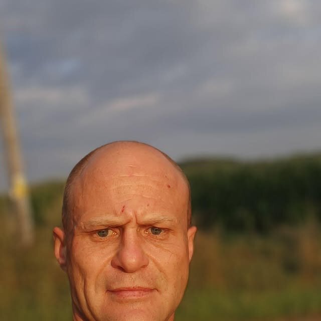 PetrovskyVol profile