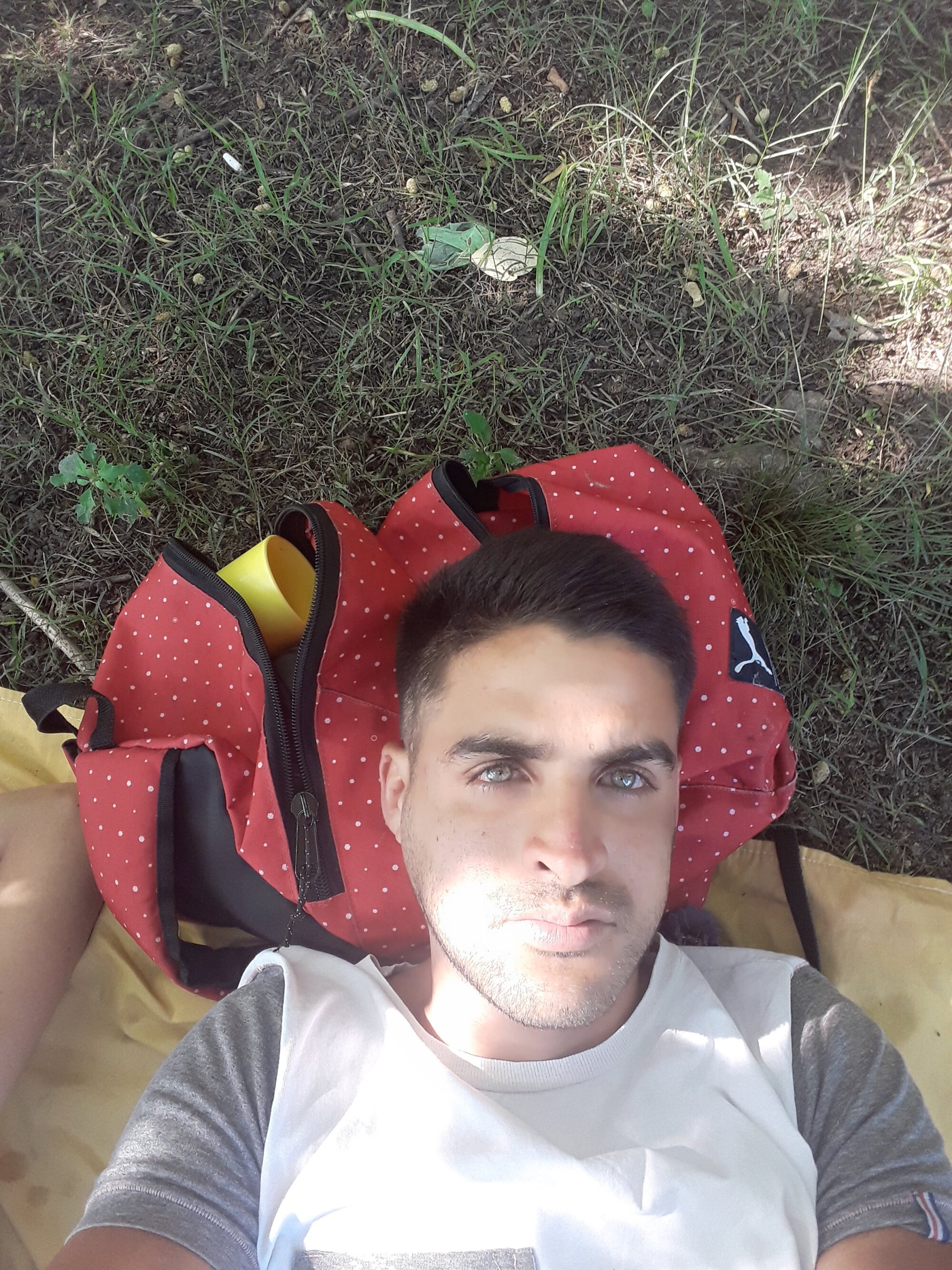 Yop25cm