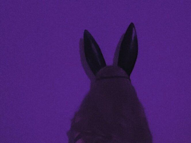 bunny_lady profile