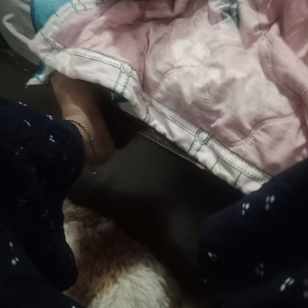 onaircams.com your___moonlight livesex profile in bisexual cams