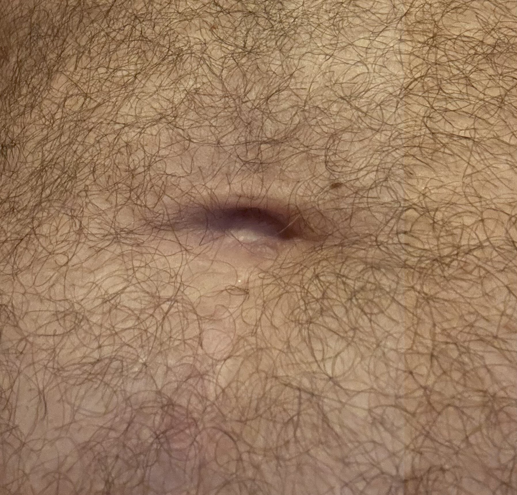 hotcock-germany live webcam