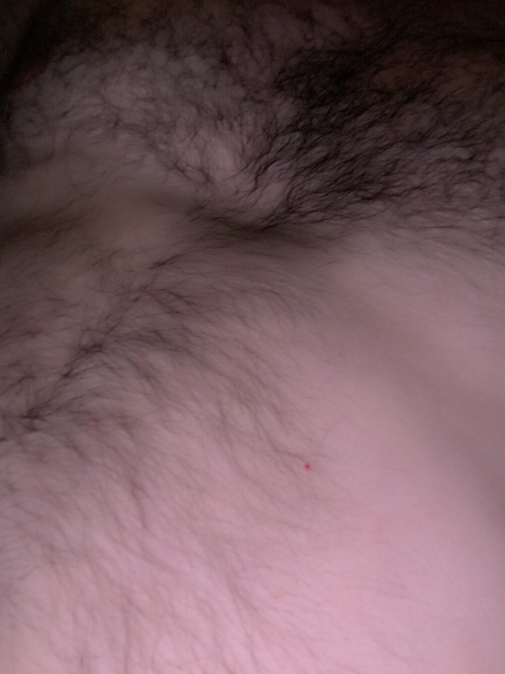 omny777 from stripchat