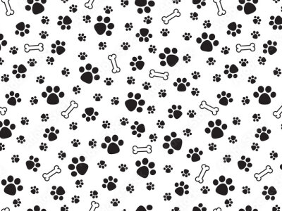Puppybrained07Live Webcam