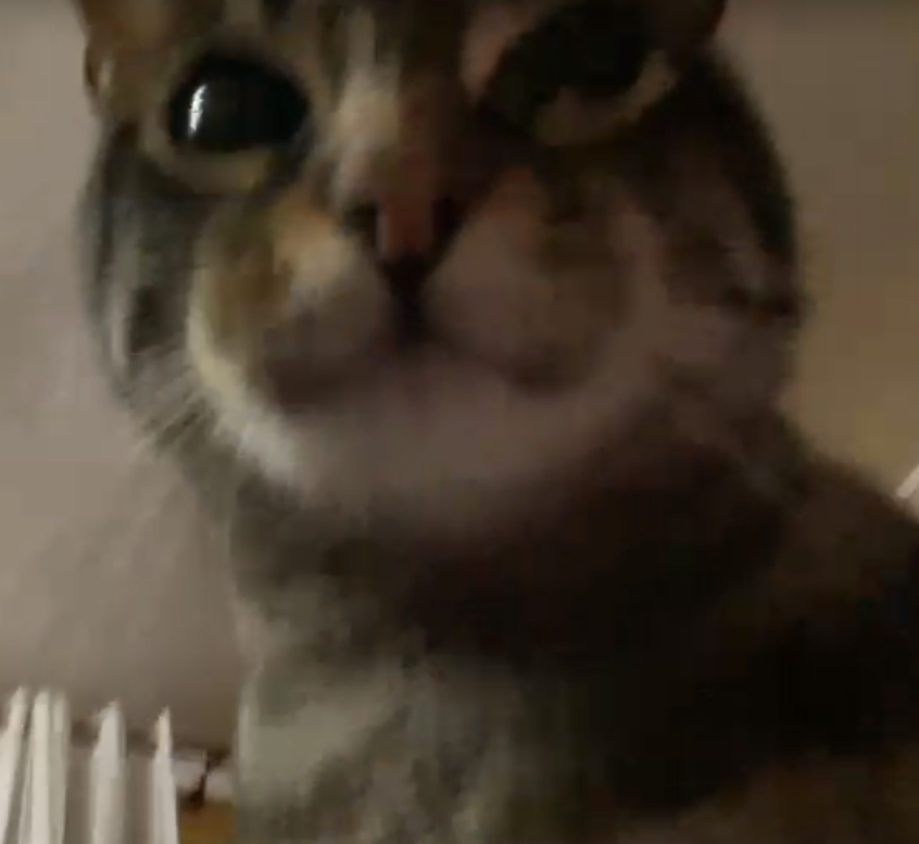 truepasion69's most recent online preview