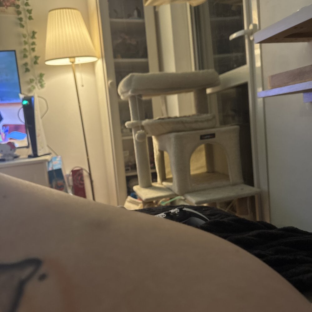 stripchat bigsuzy_cheetah webcam profile pic via pornsexycams.com