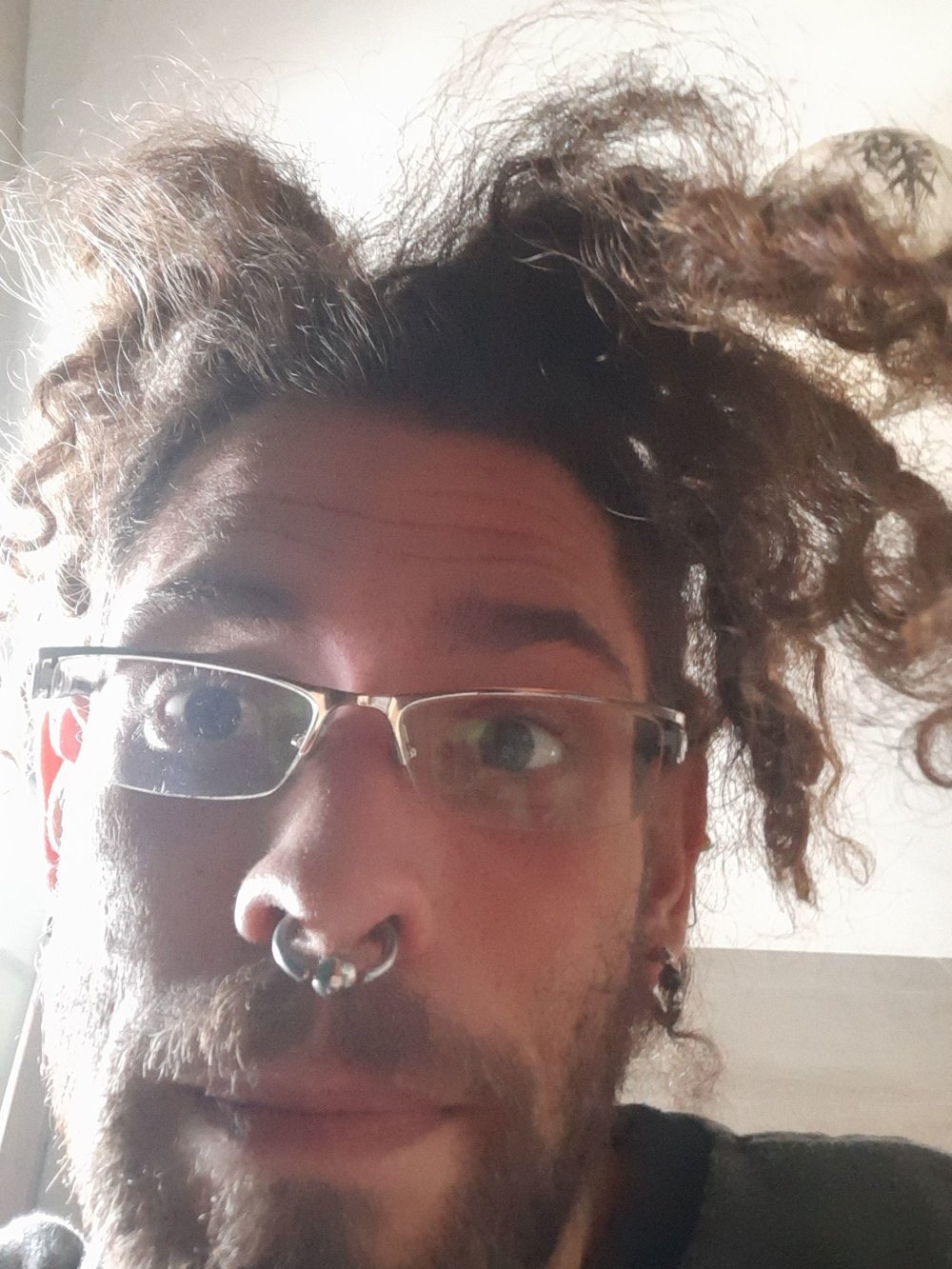 fabricciox
