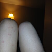 ToastedDocket's webcam live show