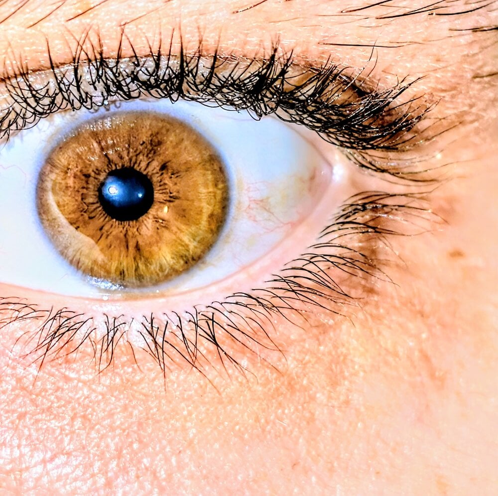 Офлайн-чат XXX redyorten