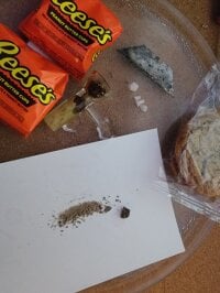 XL-Richard's webcam live show