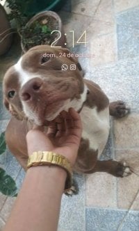 jesusmaro05's webcam live show