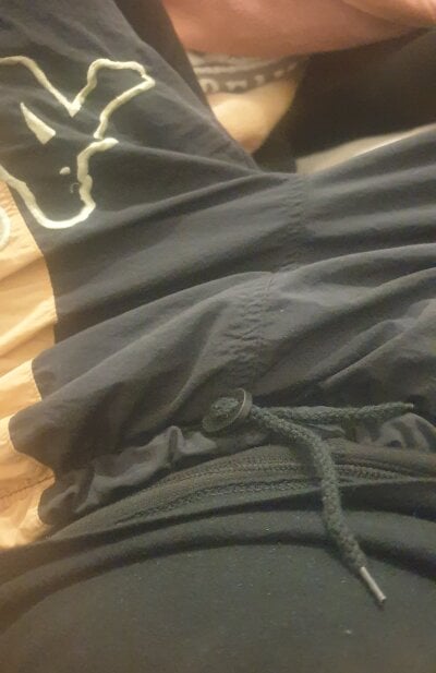 Taylortee