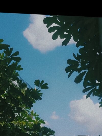 urfantasy2214 Avatar