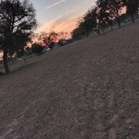 love_professor's Offline XXX Chat