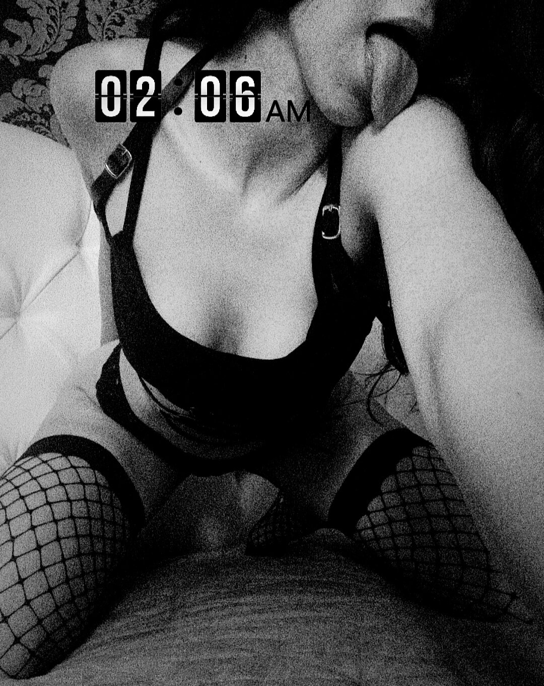 catt_kat