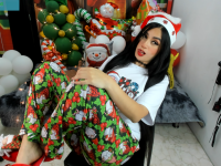 Модель criss_21_