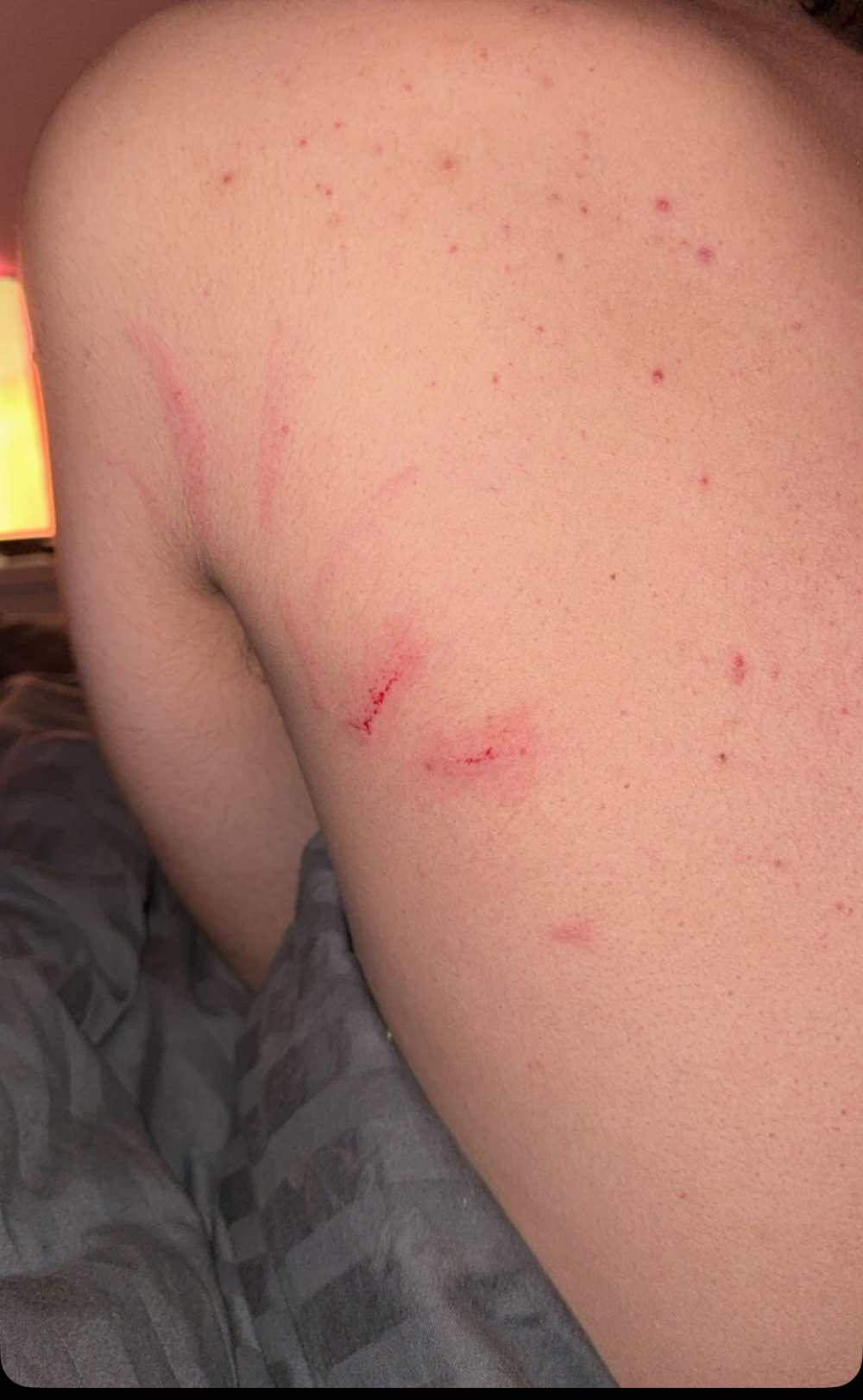 JakeVandall's Offline XXX Chat