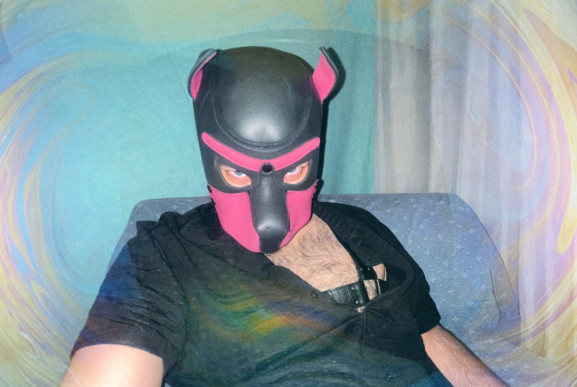 OliBearPup