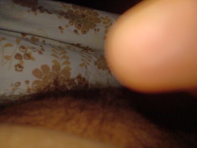 333fap2web333 Avatar