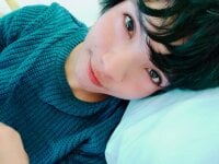 Модель Sweet_Allan