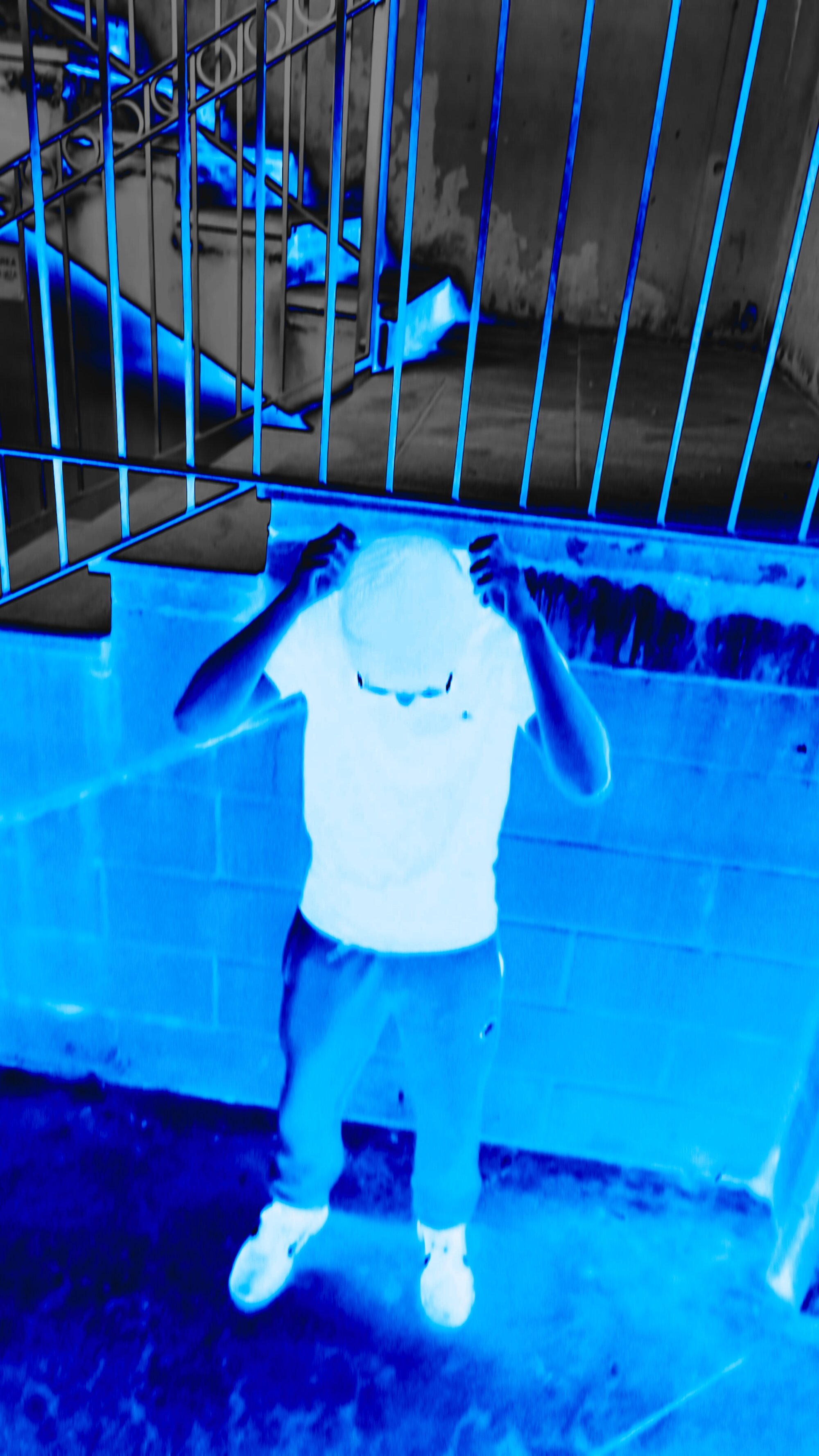 brownbg06