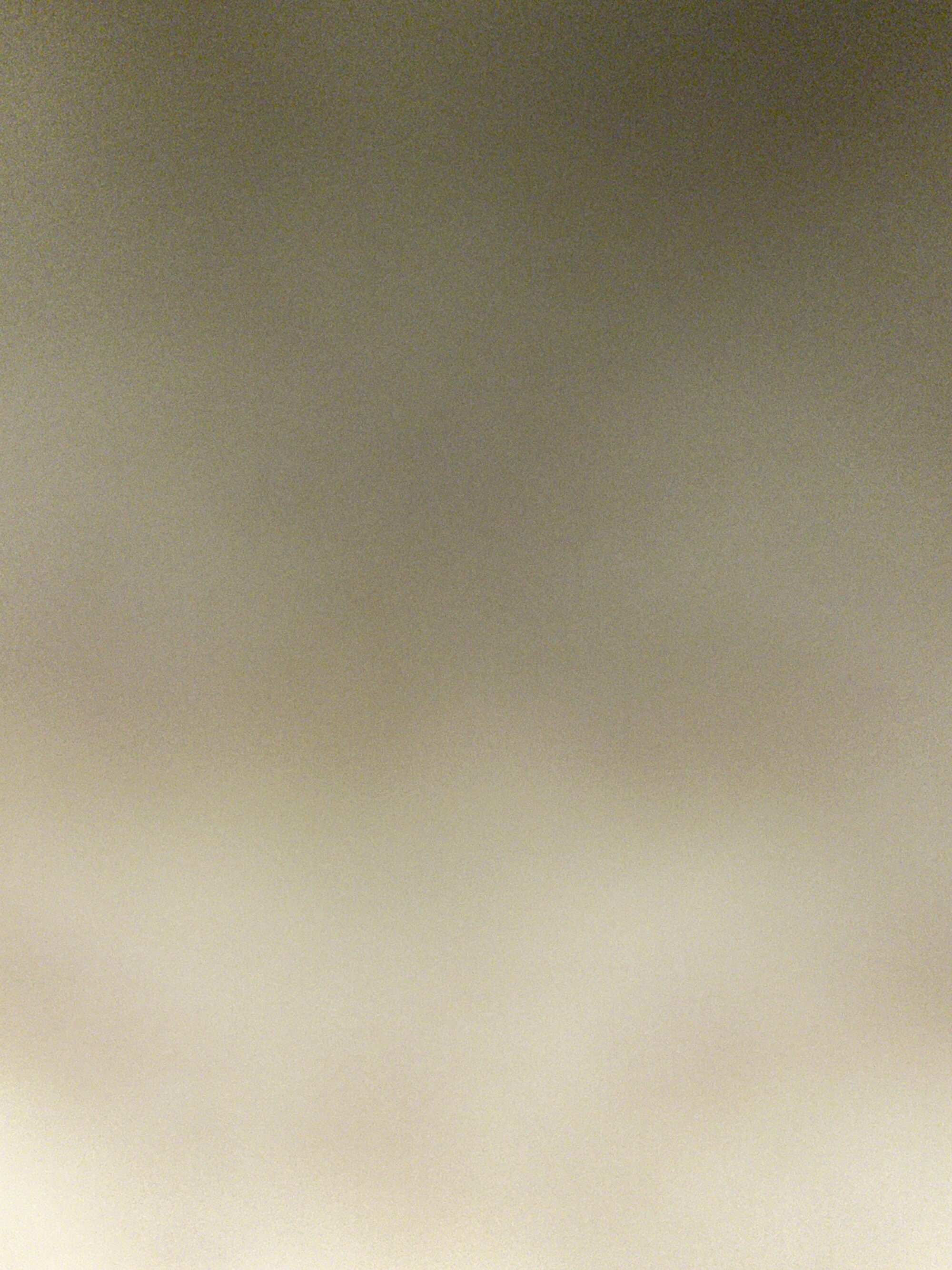 olive3356