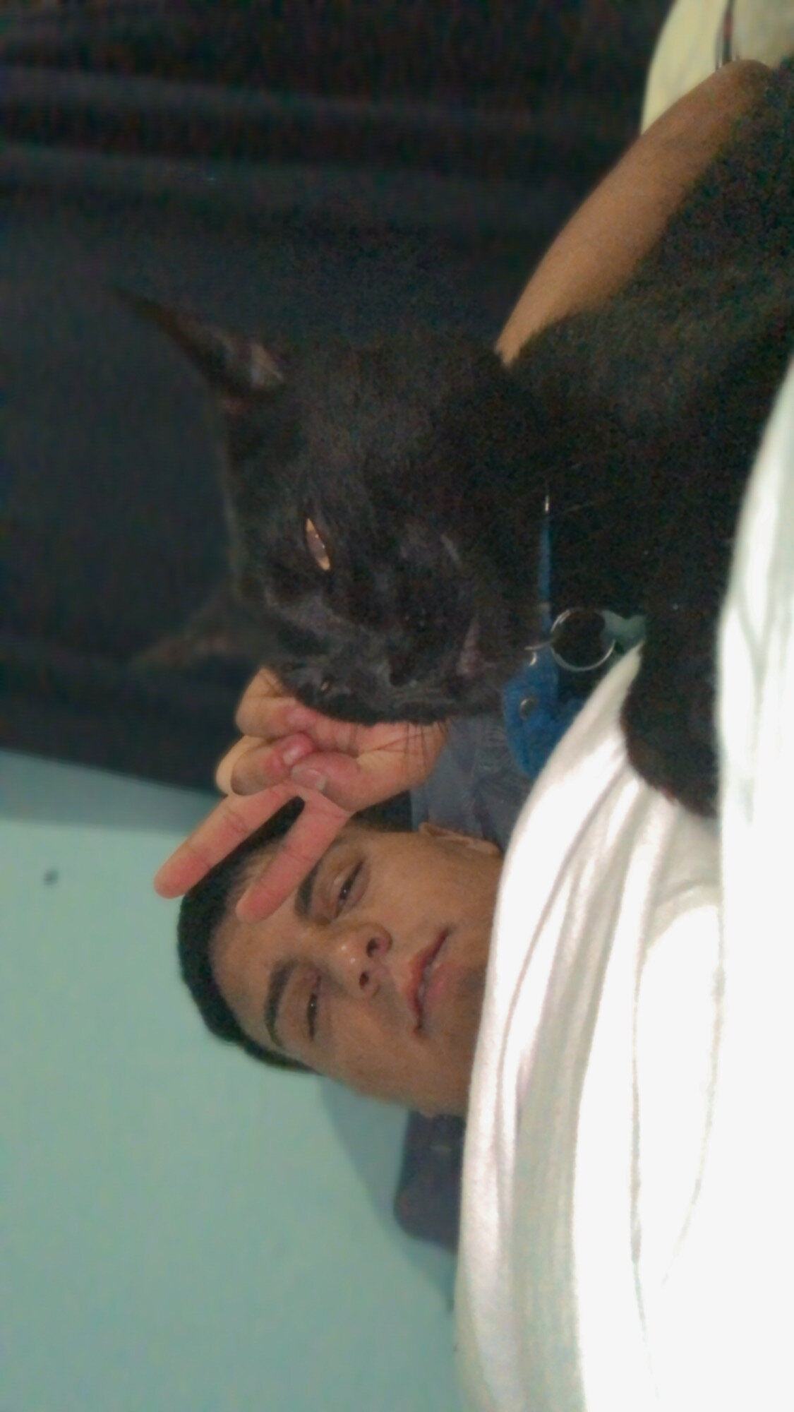 elnegronashee