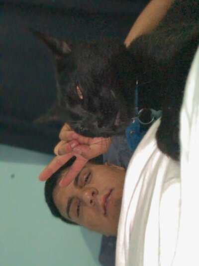 elnegronashee Avatar