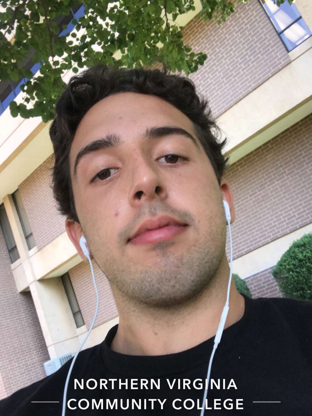 bighairywhitecock