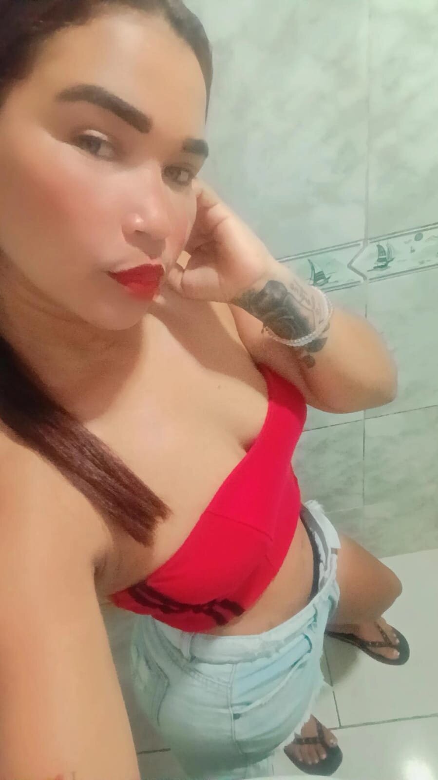 _gaviota_