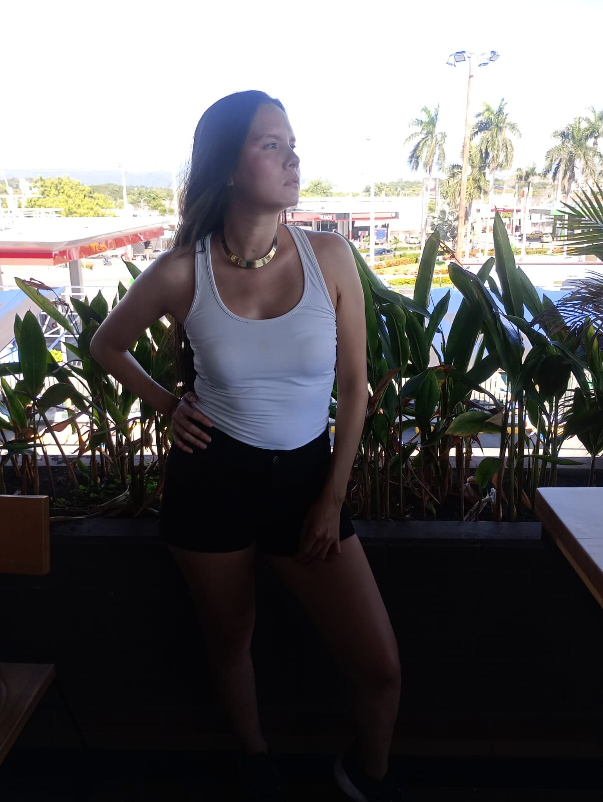 Violeet_ds