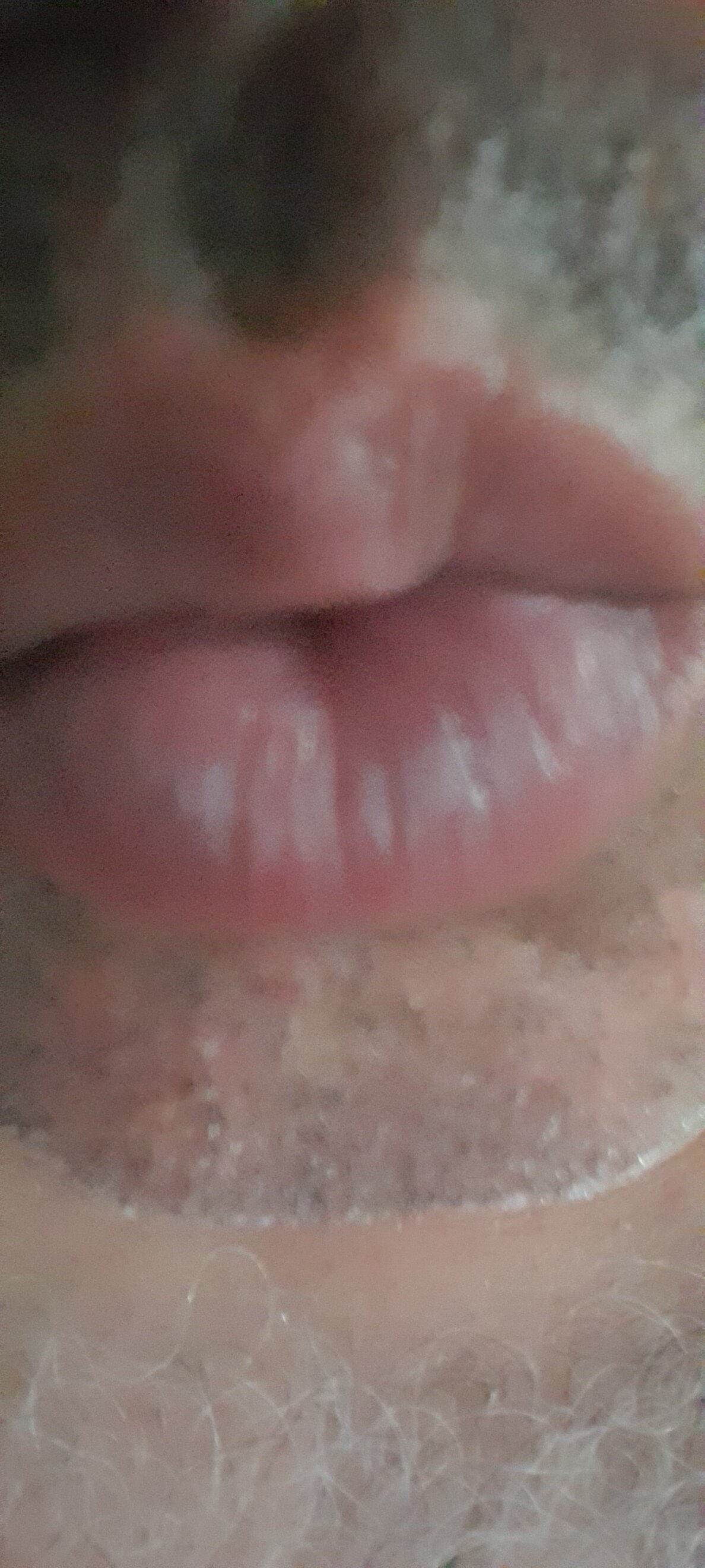 ratoncito_3 live webcam