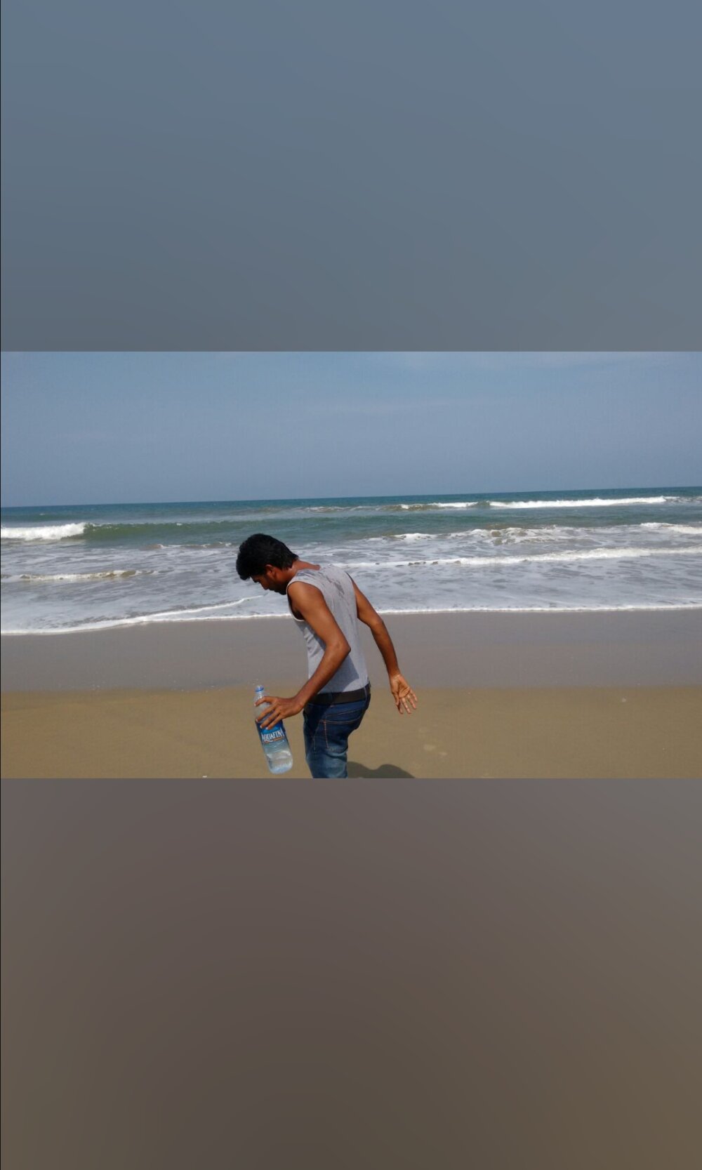 wild_sixer