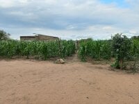 Malibongwe17