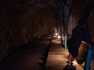 annabelle1641 profile