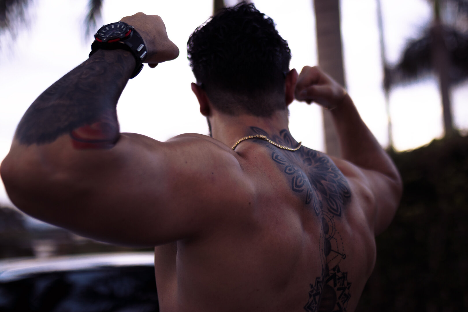 Damian_Risk